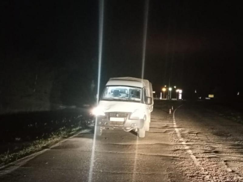 В Волгоградской области ГАЗелист насмерть сбил идущего по трассе мужчину