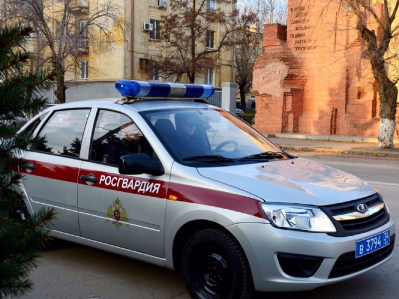 Воспитатель детсада и продавец ради хорошей фигуры ограбили магазин в «Акварели» в Волгограде