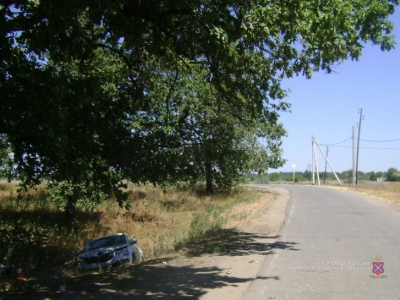 Иномарка влетела в дерево по дороге к турбазе под Волгоградом