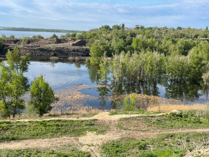 Вопросы актуализации экологического законодательства обсудили в Волгограде