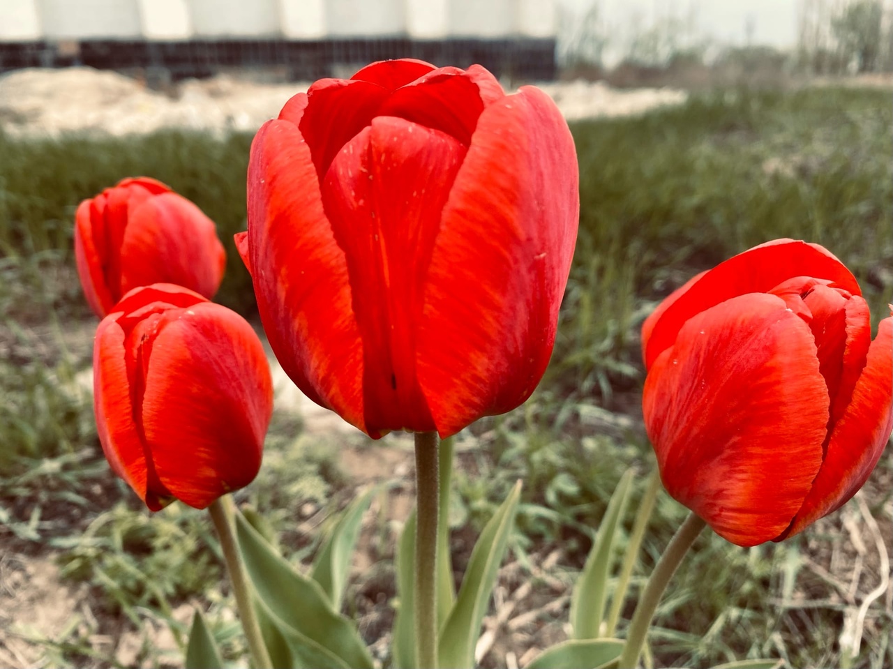 У казахов отобрали землю на границе в Волгоградской области