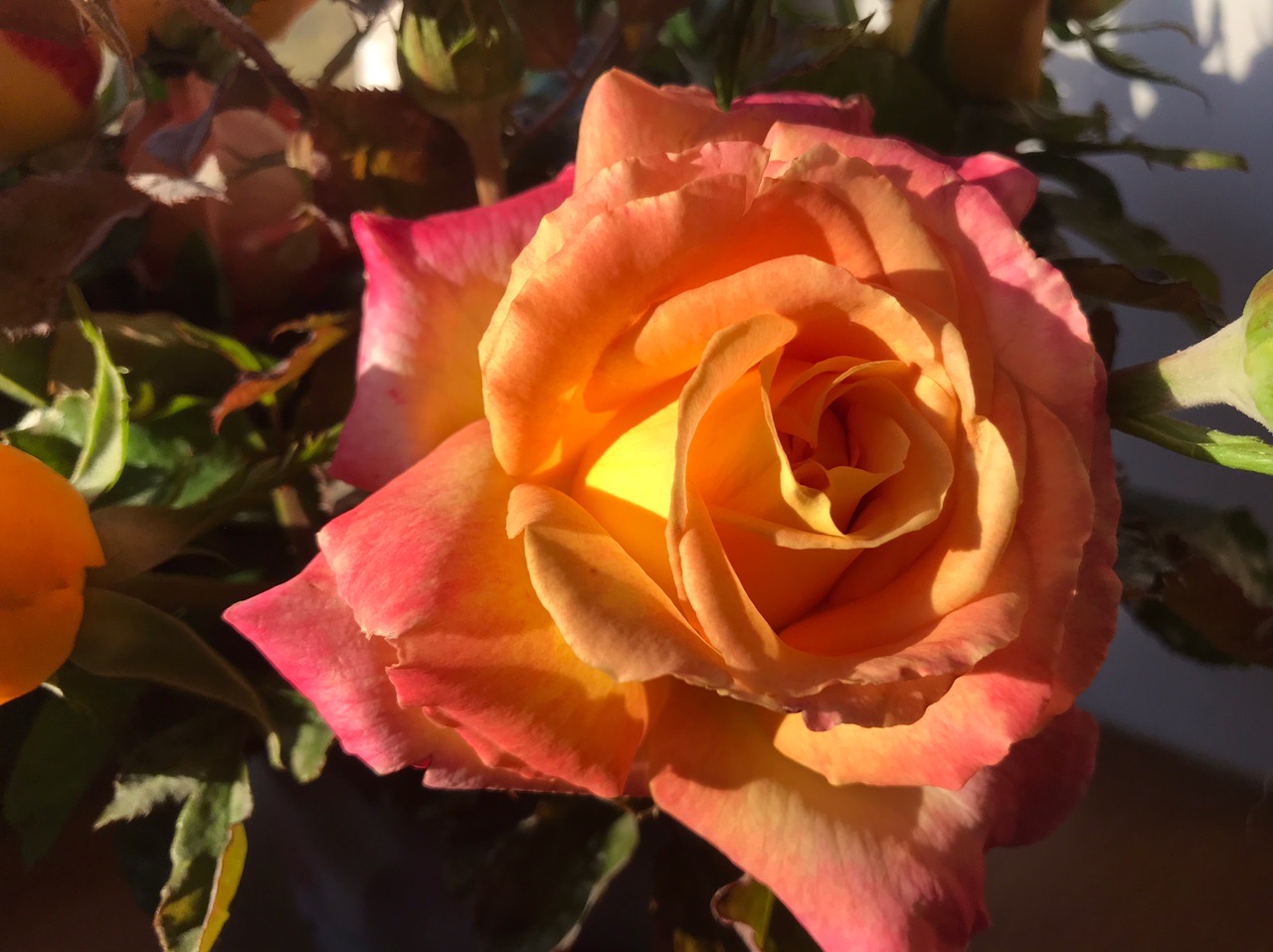 Нулевая температура ожидается в Волгоградской области на следующей неделе