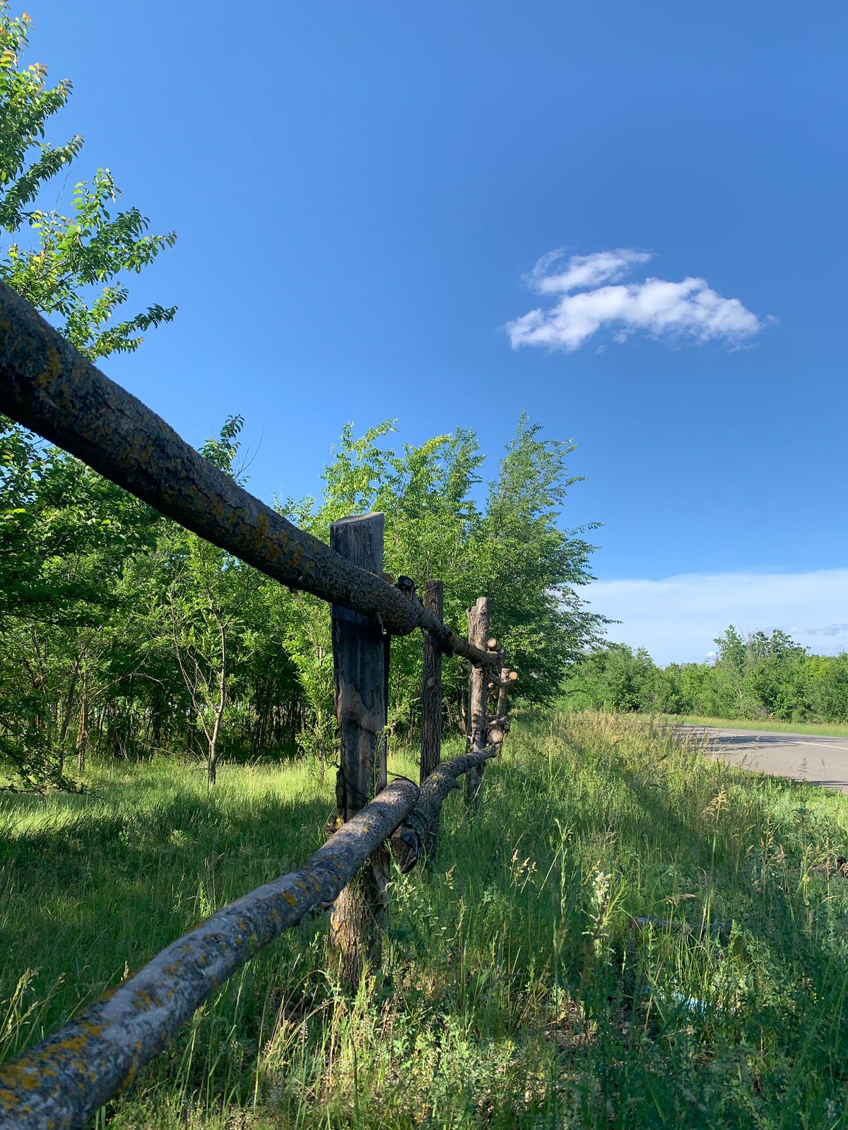 Вопросы экологии волнуют волгоградцев все больше