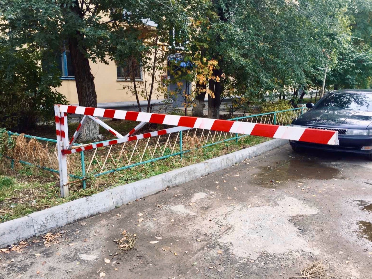 Ходил по селу с окровавленным ножом: волгоградец убил брата и покалечил сестру, подругу и отца ради наследства