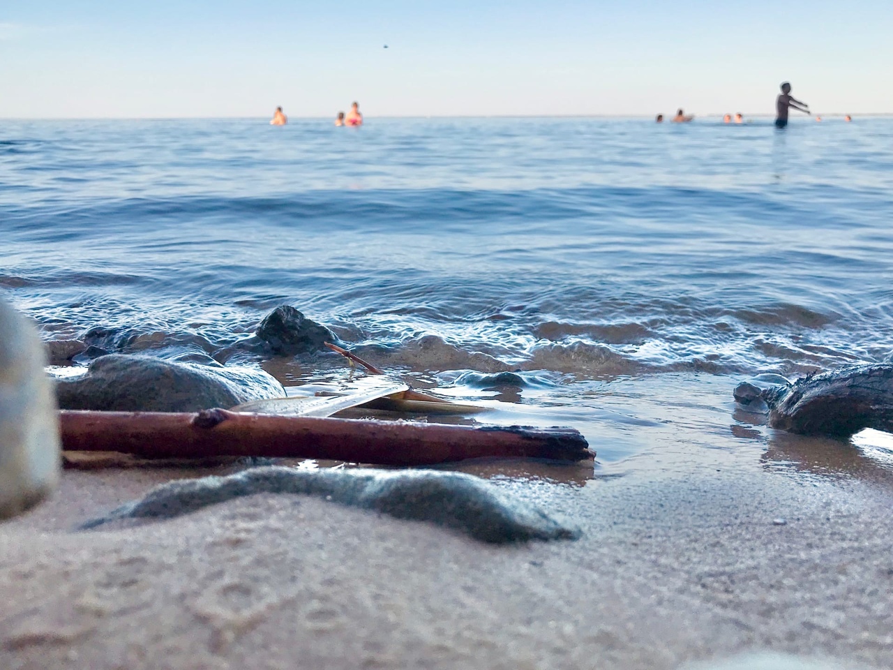 Найденные на берегу в Волгограде останки принадлежали пропавшему четыре года назад мужчине 