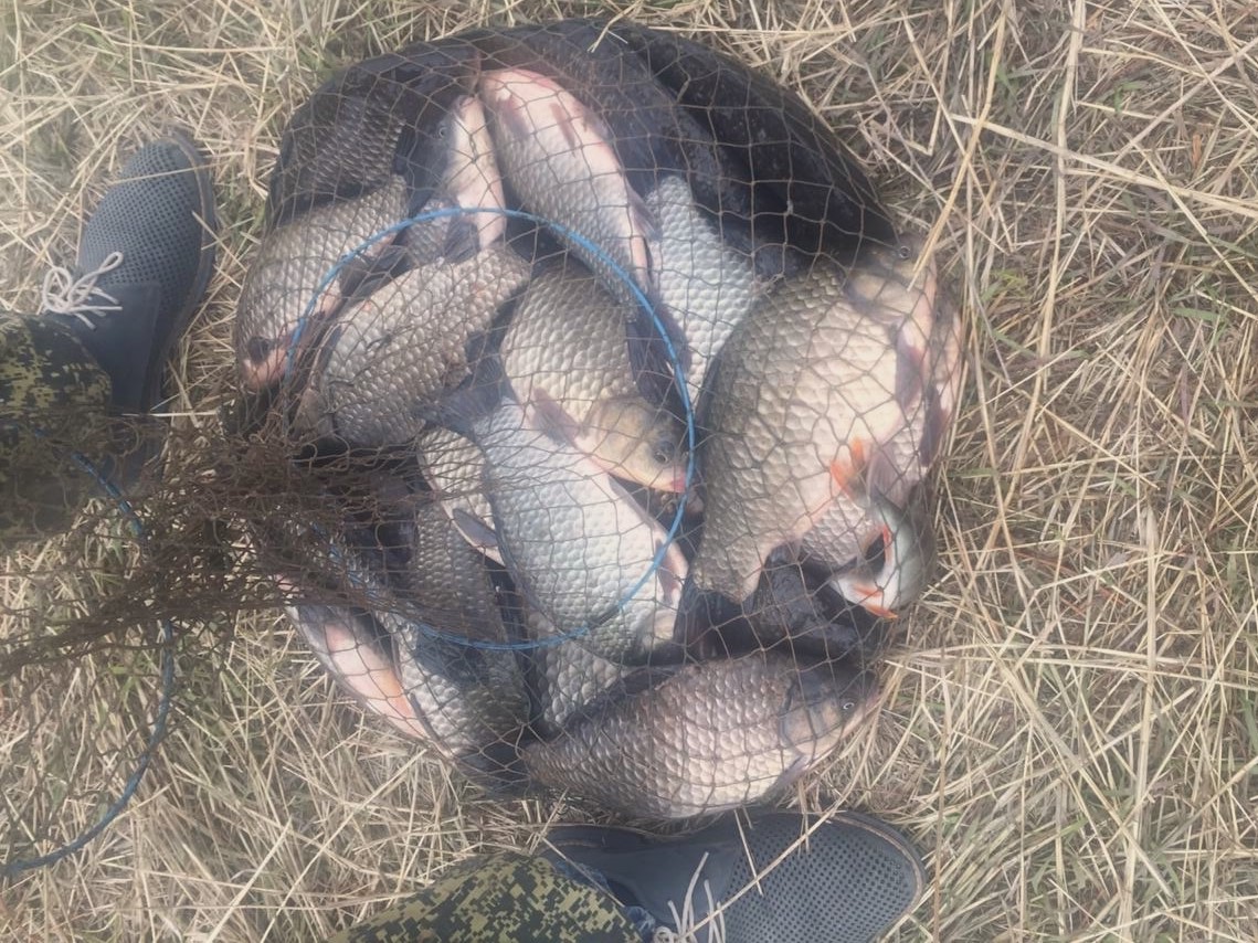 «6% заражены»: Роспотребнадзор изъял больше 17 килограммов непригодной для еды рыбы в Волгоградской области 