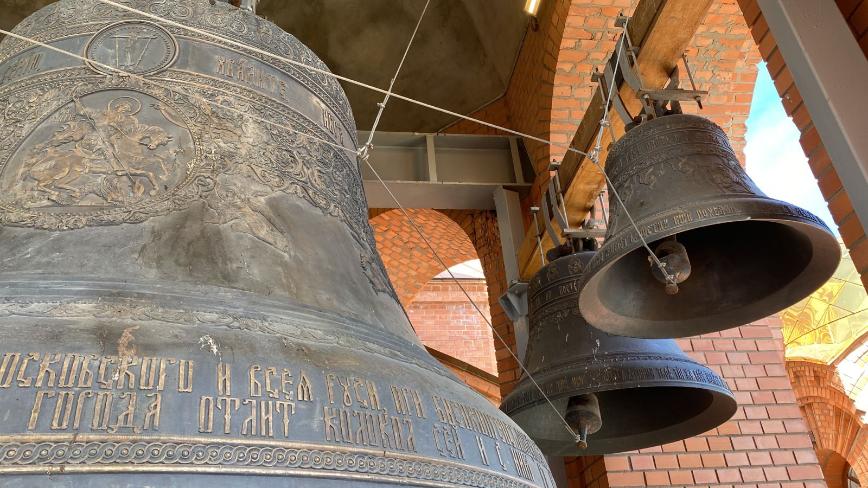 Волгоградские ученые о Дне народного единства