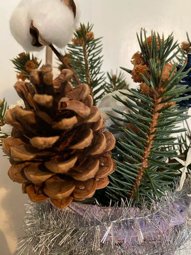 Волгоградскую область подсадили на шишку