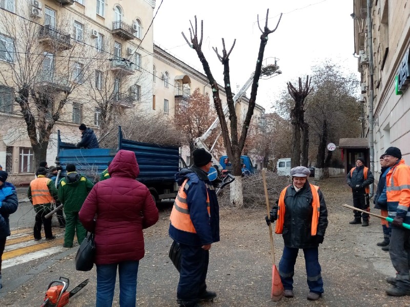 Экс-депутат Верховного Совета СССР Борис Пылин назвал спиливание крон «превращением Волгограда в огромную кунсткамеру»