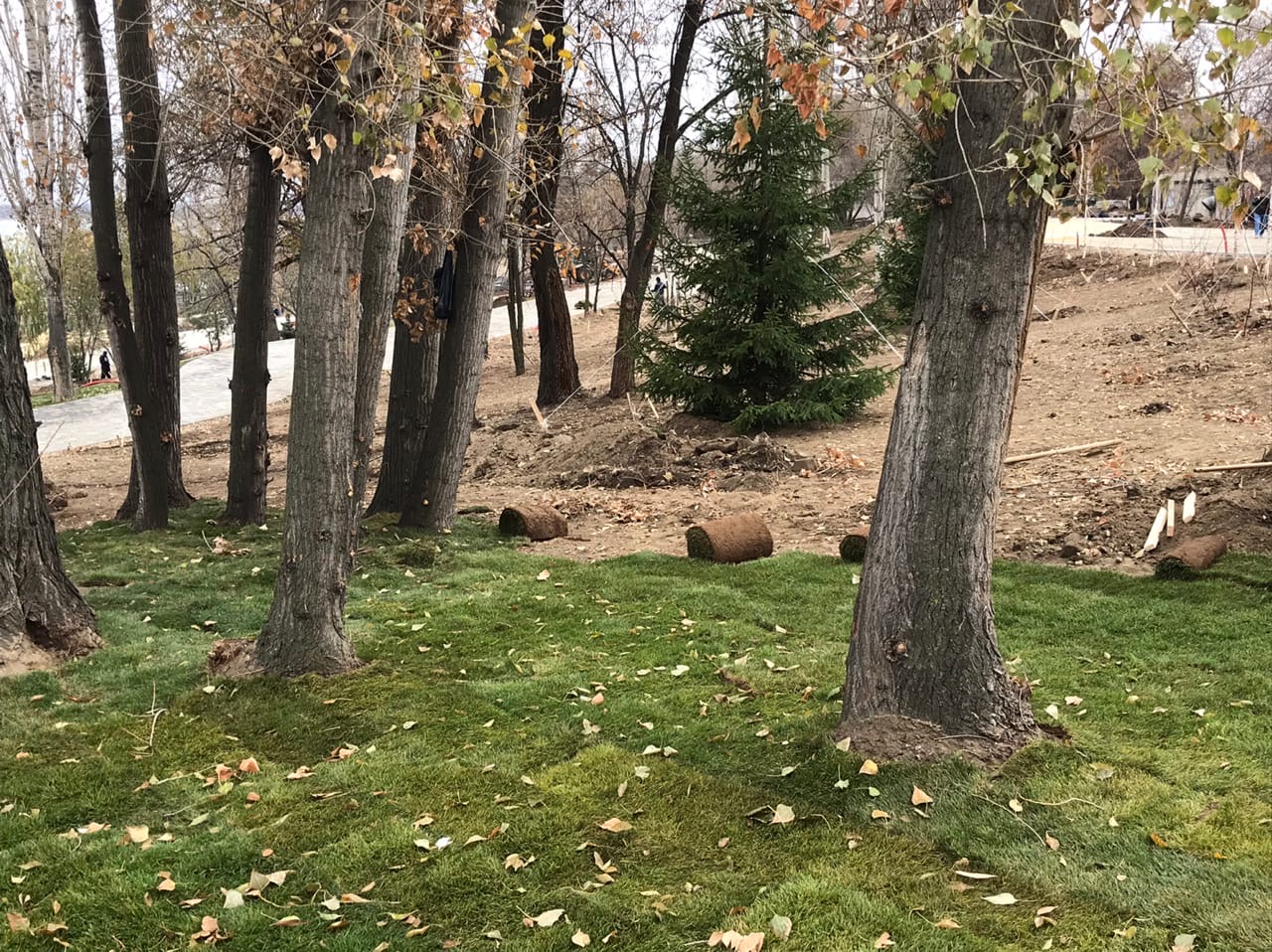 Экотропа в европейском стиле свяжет два района Волгограда