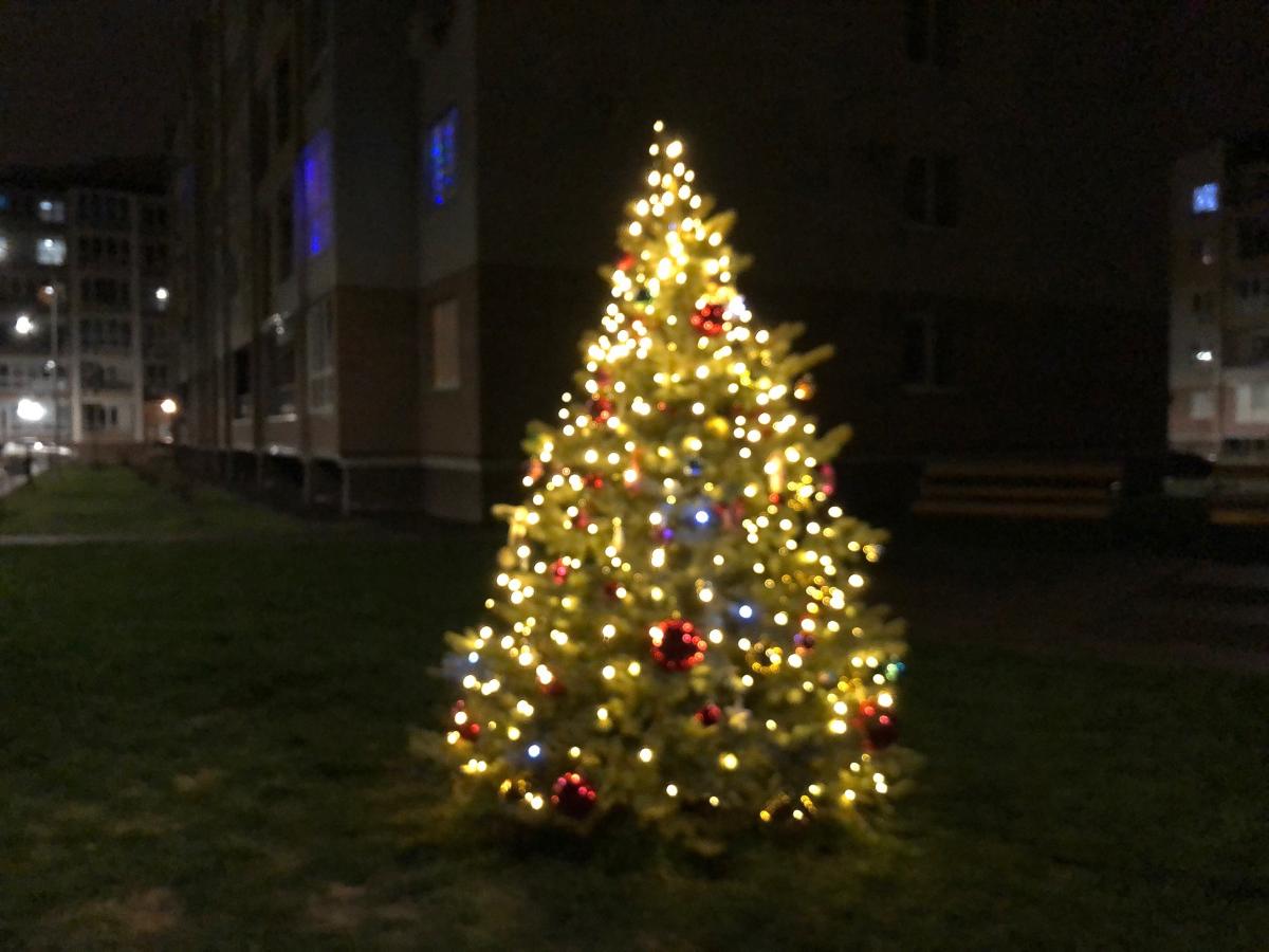 Стала известна программа новогодних гуляний в Волгограде