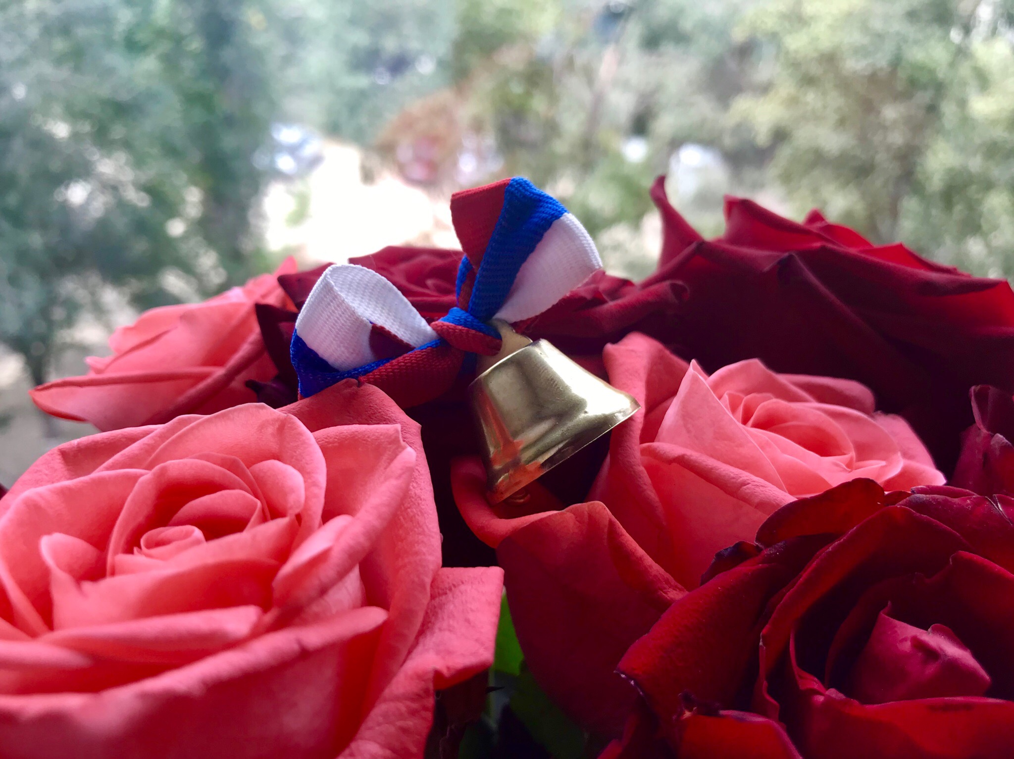 Линейки в честь начала нового учебного года в Волгограде планируют отменить