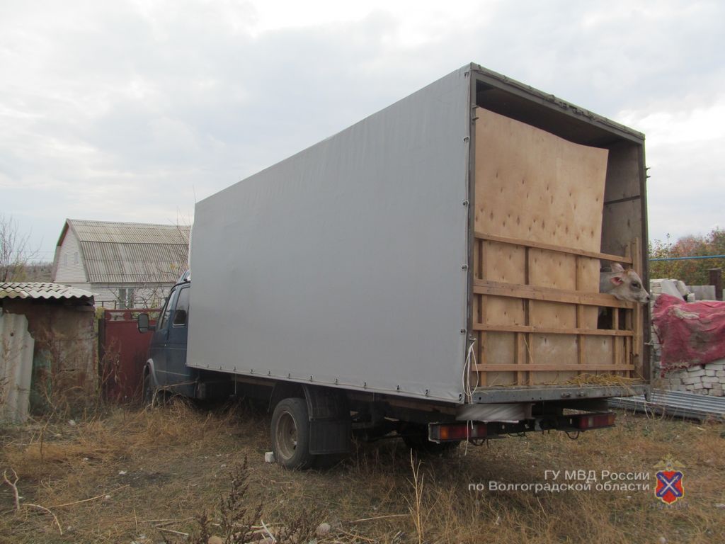 Вычислить помогли очевидцы: житель Твери сбил женщину в Волгоградской области и спрятался в лесу