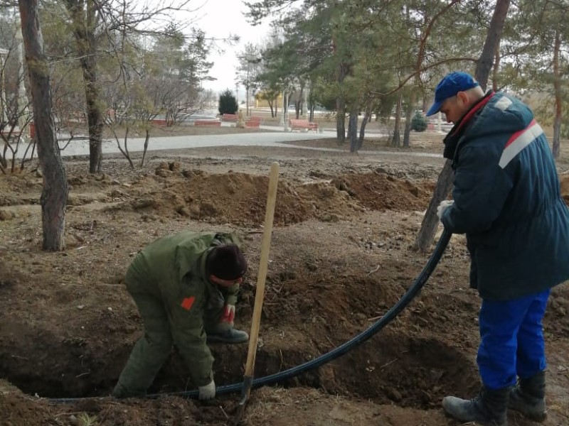 В Волгоградском ЦПКиО приступили к озеленению территории