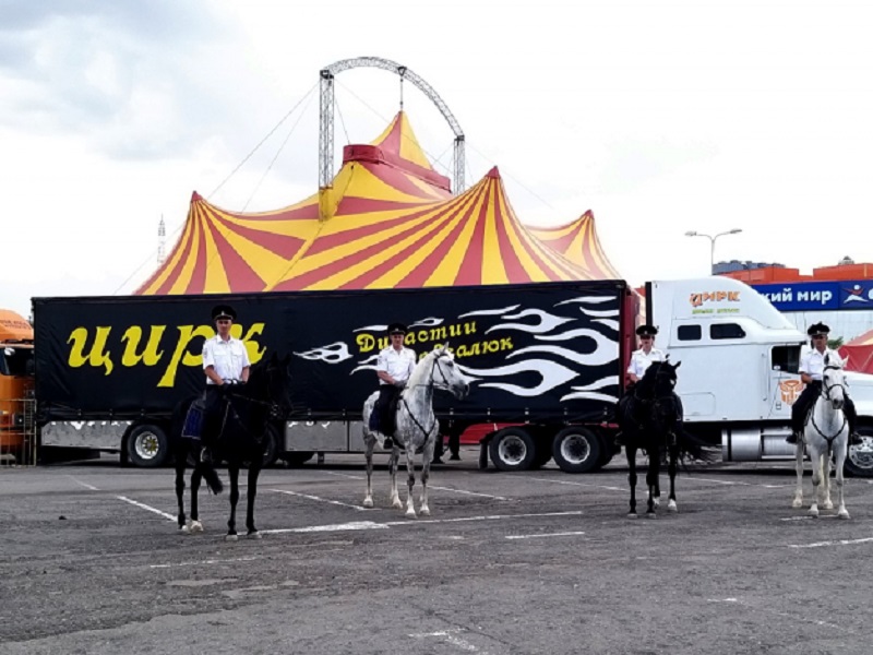 В День Петра и Февронии юные волгоградцы посмотрят цирк на «удаленке»