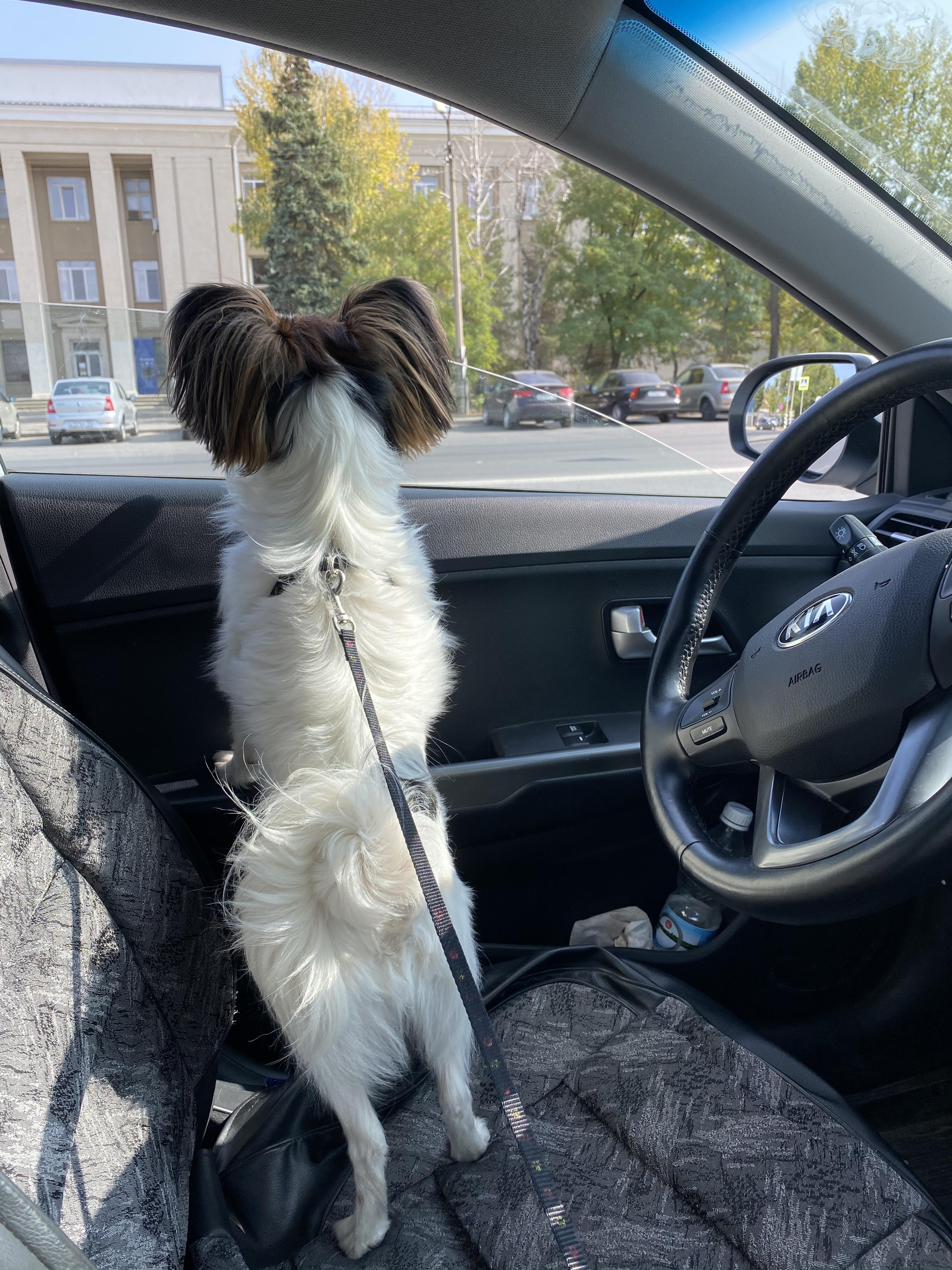 Администрация Новоаннинского района заказывает перевозки почти на 3 млн рублей