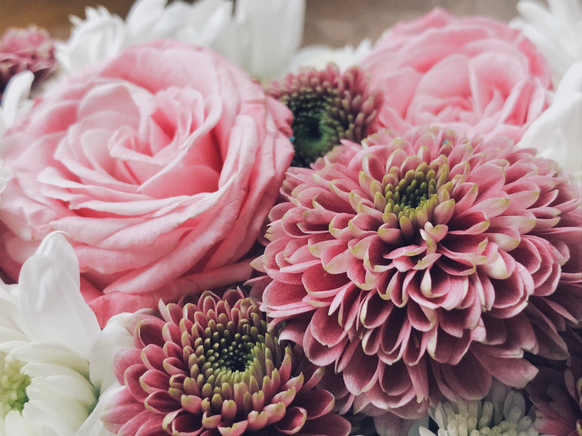 Полная неожиданность: в волгоградском салоне эротического массажа нашли проституток