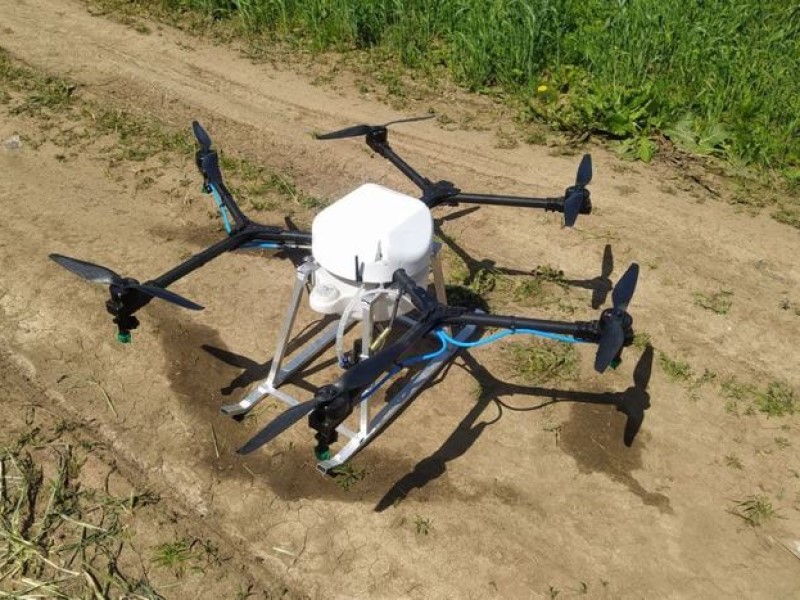 Тучи саранчи в Волгоградской области уничтожат при помощи беспилотника