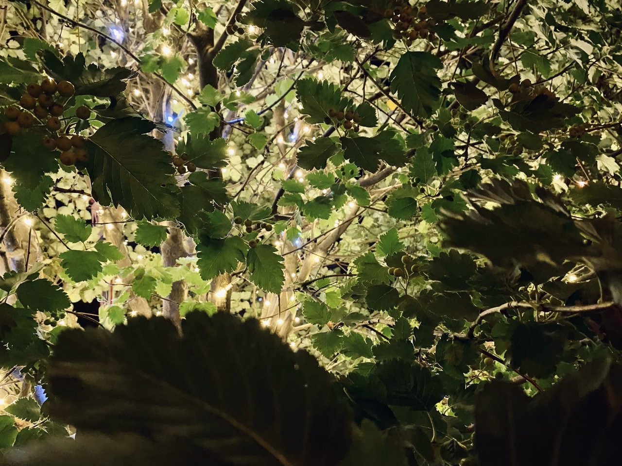 Шесть районов Волгограда проведут 9 сентября без света