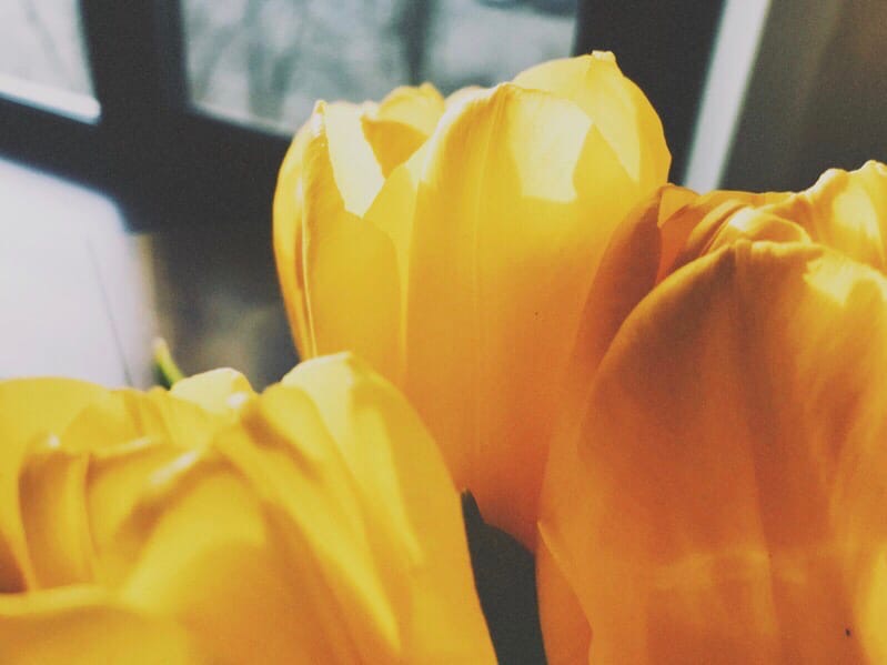 Все районы Волгограда сегодня оставили без света