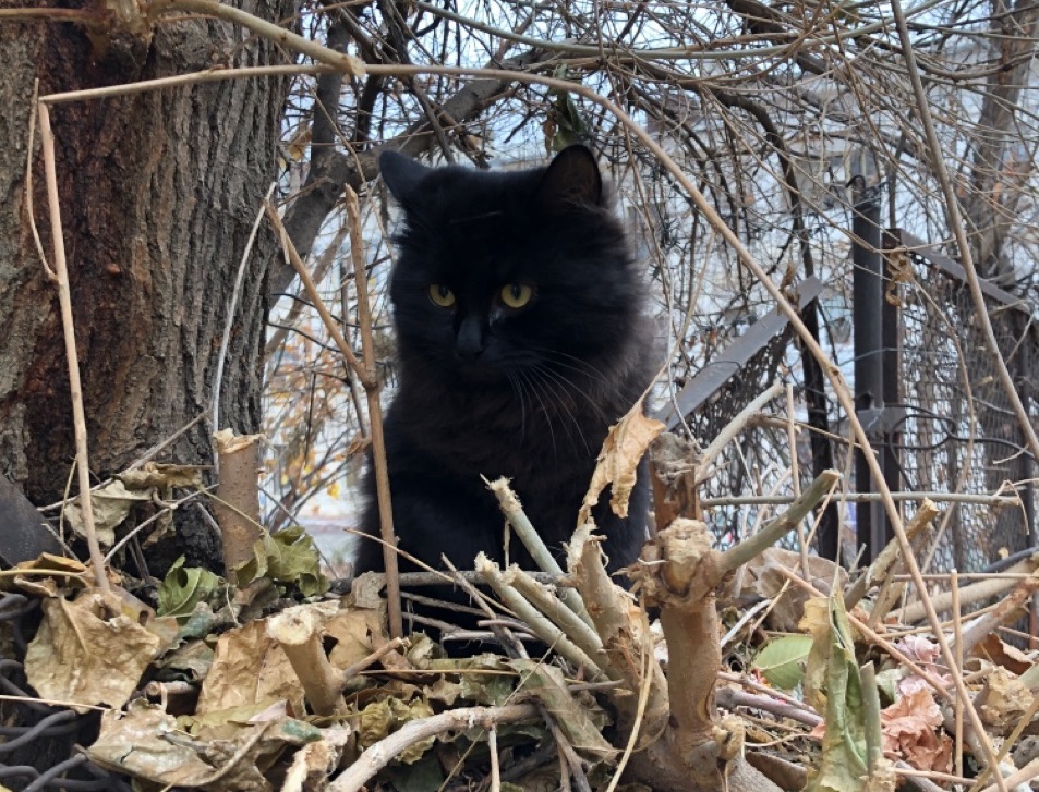 Волгоградцы признались, как прошла их чертова пятница