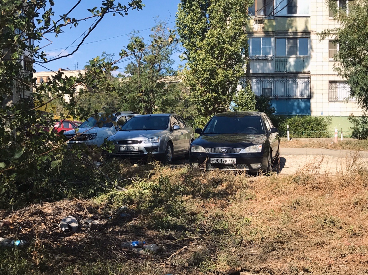 «Придумал армянин»: новая схема мошенничества при продаже автомобилей в Волгограде