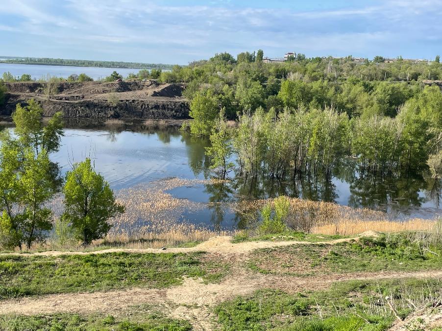 На Волгоградскую область обрушились заморозки