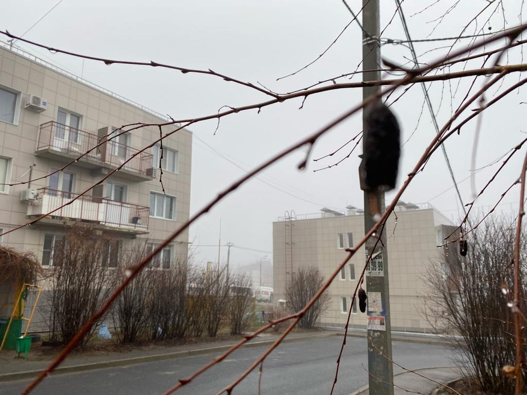 Директора волгоградских долгостроев ЖК «Династия» и «Адмиралтейский» посадили на 3 года