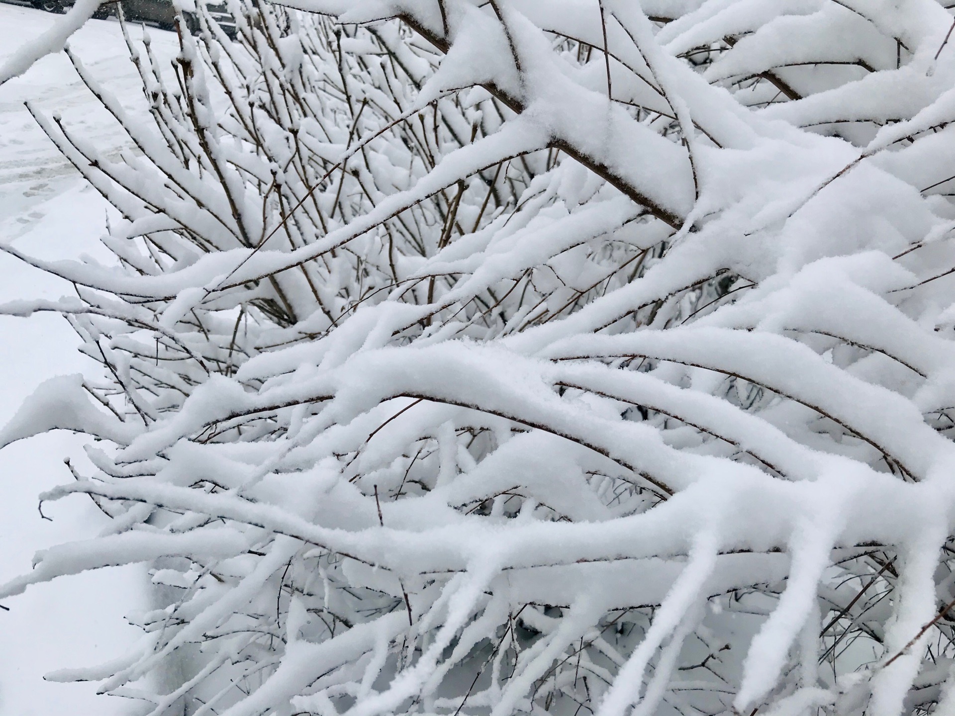 В Новый год Волгоград стал хрустальным