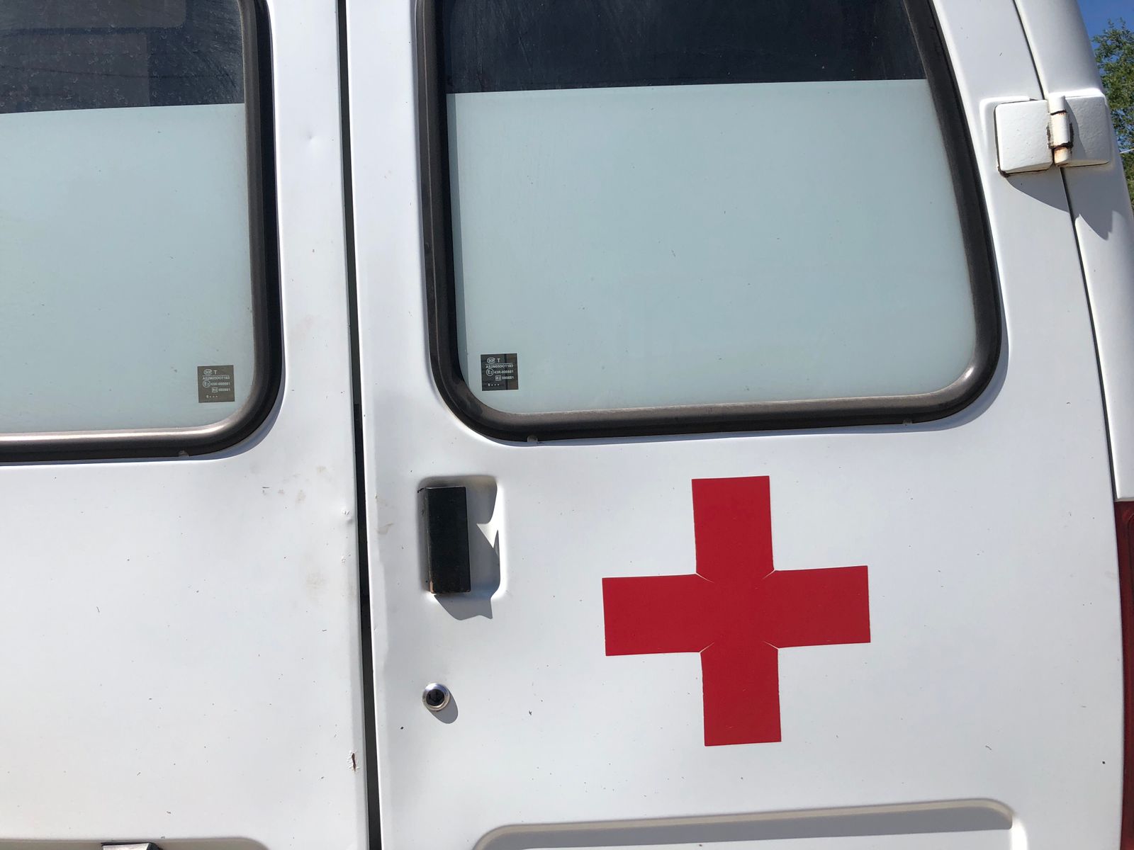 Стало известно, на скольких головах жили вши в Волгоградской области