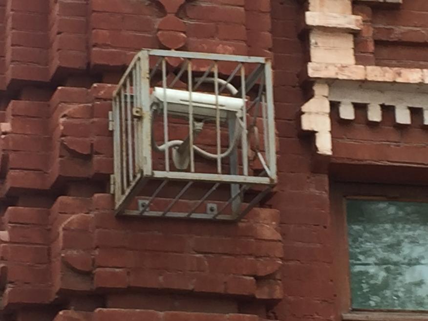 Мэр Волжского боится подхватить заразу от депутатов городской думы