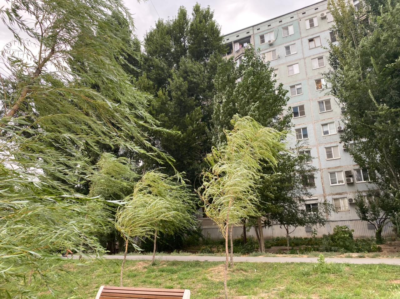 МЧС предупредило волгоградцев о ливне и шквалистом ветре