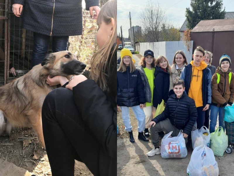 Гимназисты помогли волгогоградскому приюту для собак и кошек «Четвероногая душа»