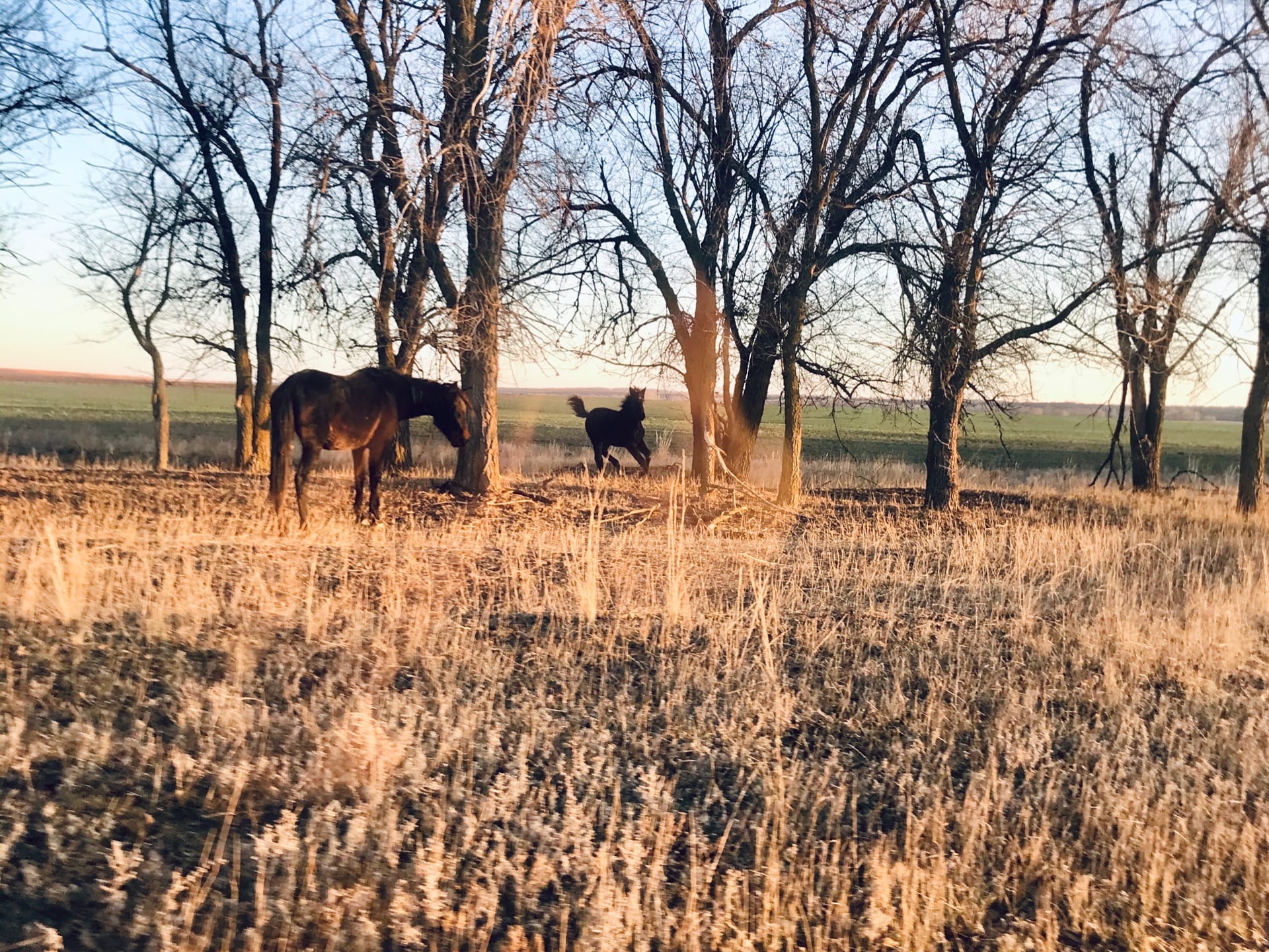 Скачки температур от +13º до -5º ожидаются в Волгоградской области