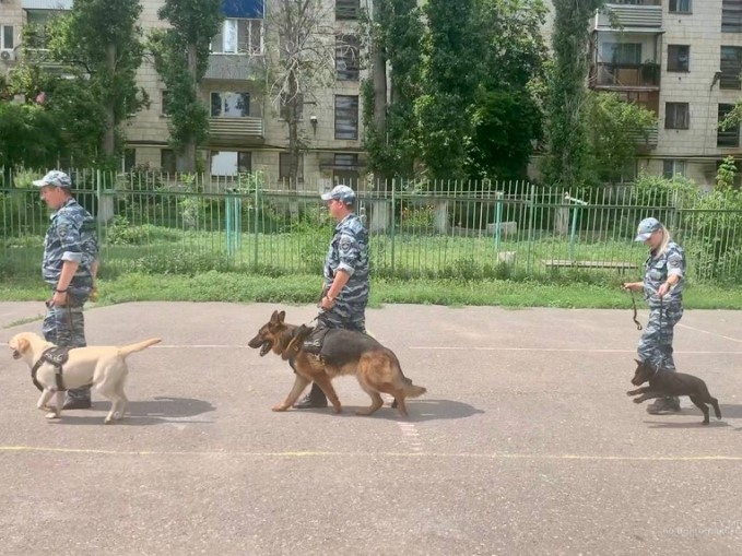 Служебные собаки в компании щенка Барона утроили праздник для школьников