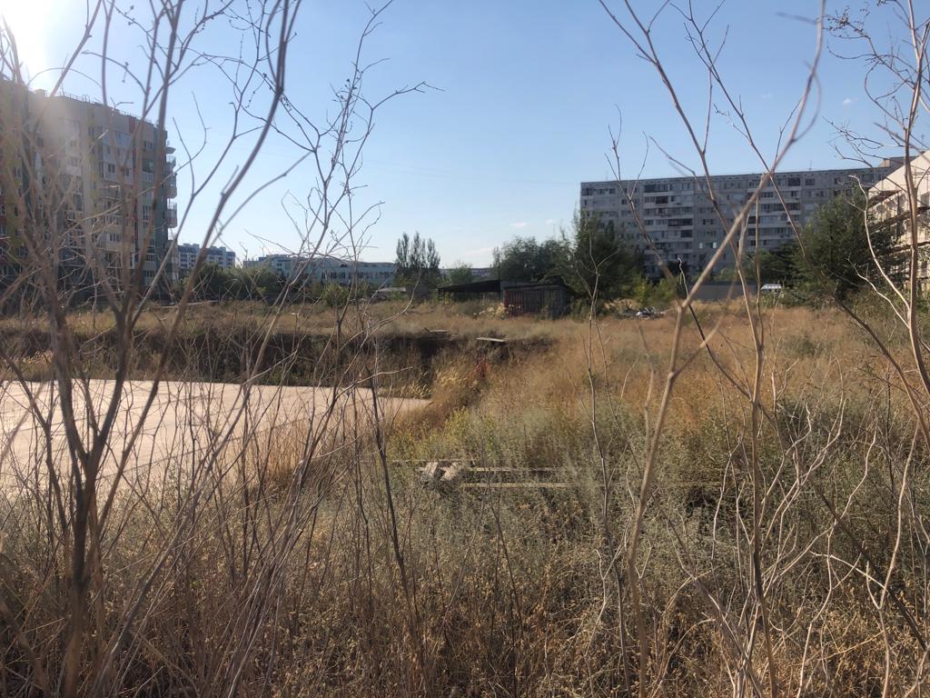 Волжане задыхаются от нескошенной амброзии и лебеды