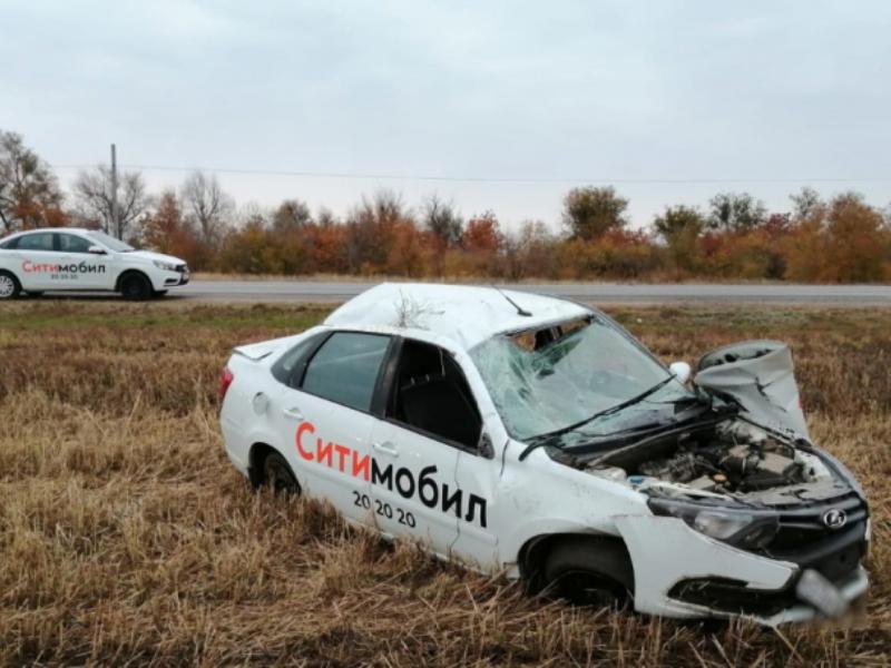 Водитель такси пострадал при столкновении с дикими кабанами в Волгоградской области 