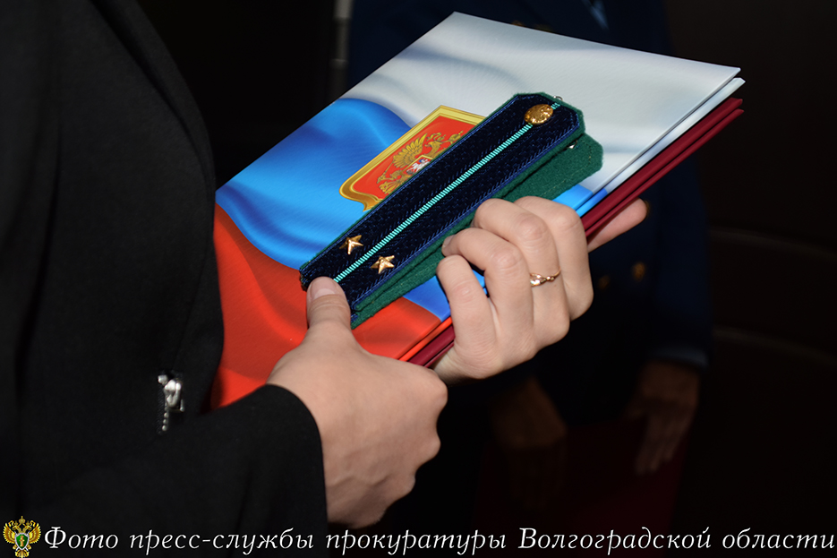 Ни луча надежды: Волгоградского руководителя общественной организации лишают свободы за укрытие от уплаты налогов на 28 миллионов рублей