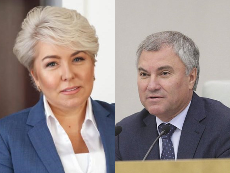 Вячеслав Володин высоко оценил законопроект, внесенный в Госдуму РФ Ириной Гусевой