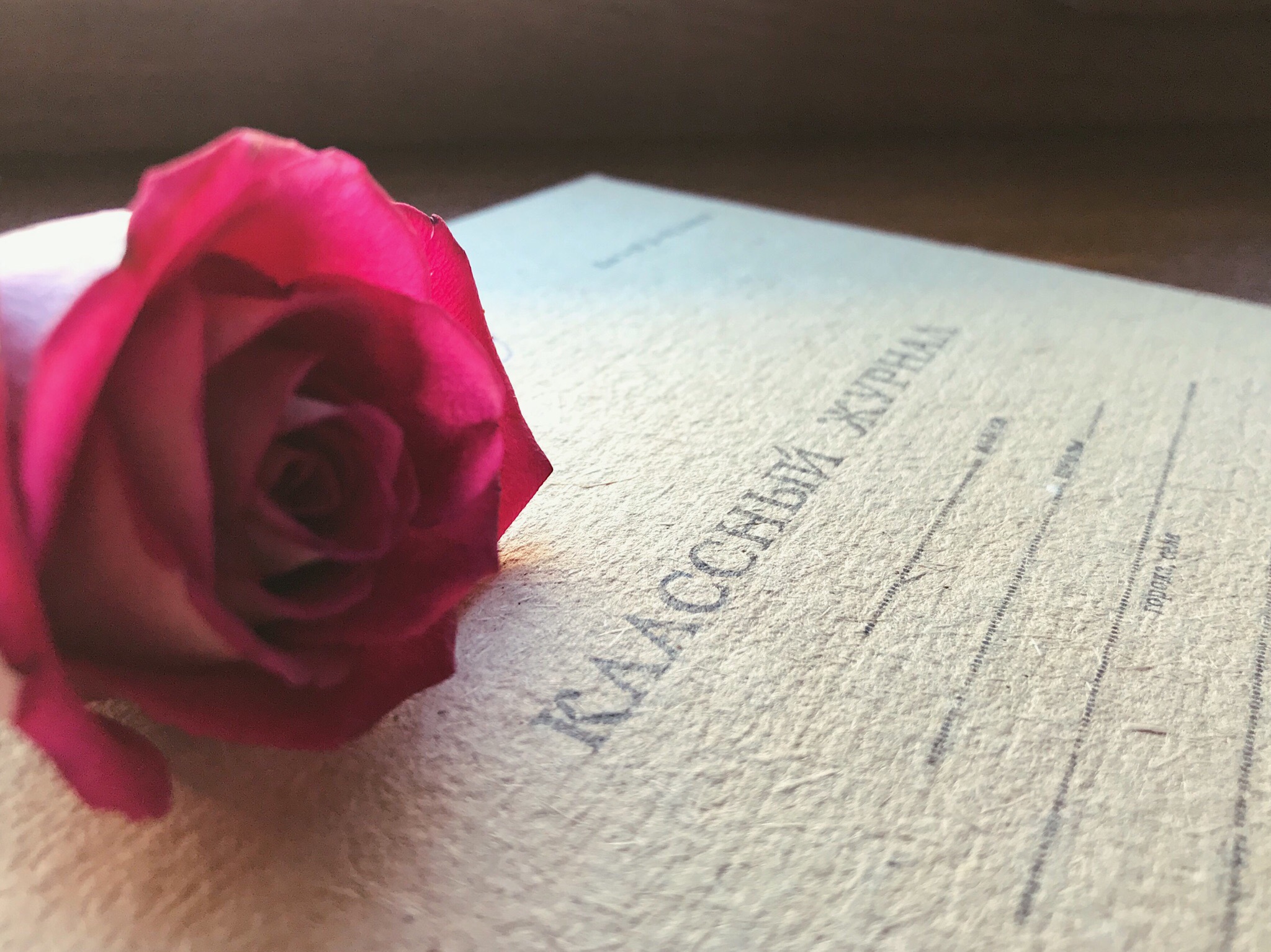 Перемены и звонки отменили в школах Волгоградской области