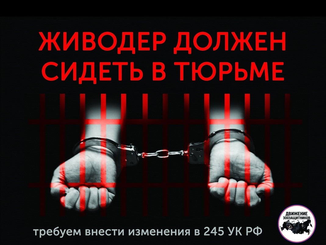 Живодер должен сидеть: волгоградцев зовут на митинг в защиту животных