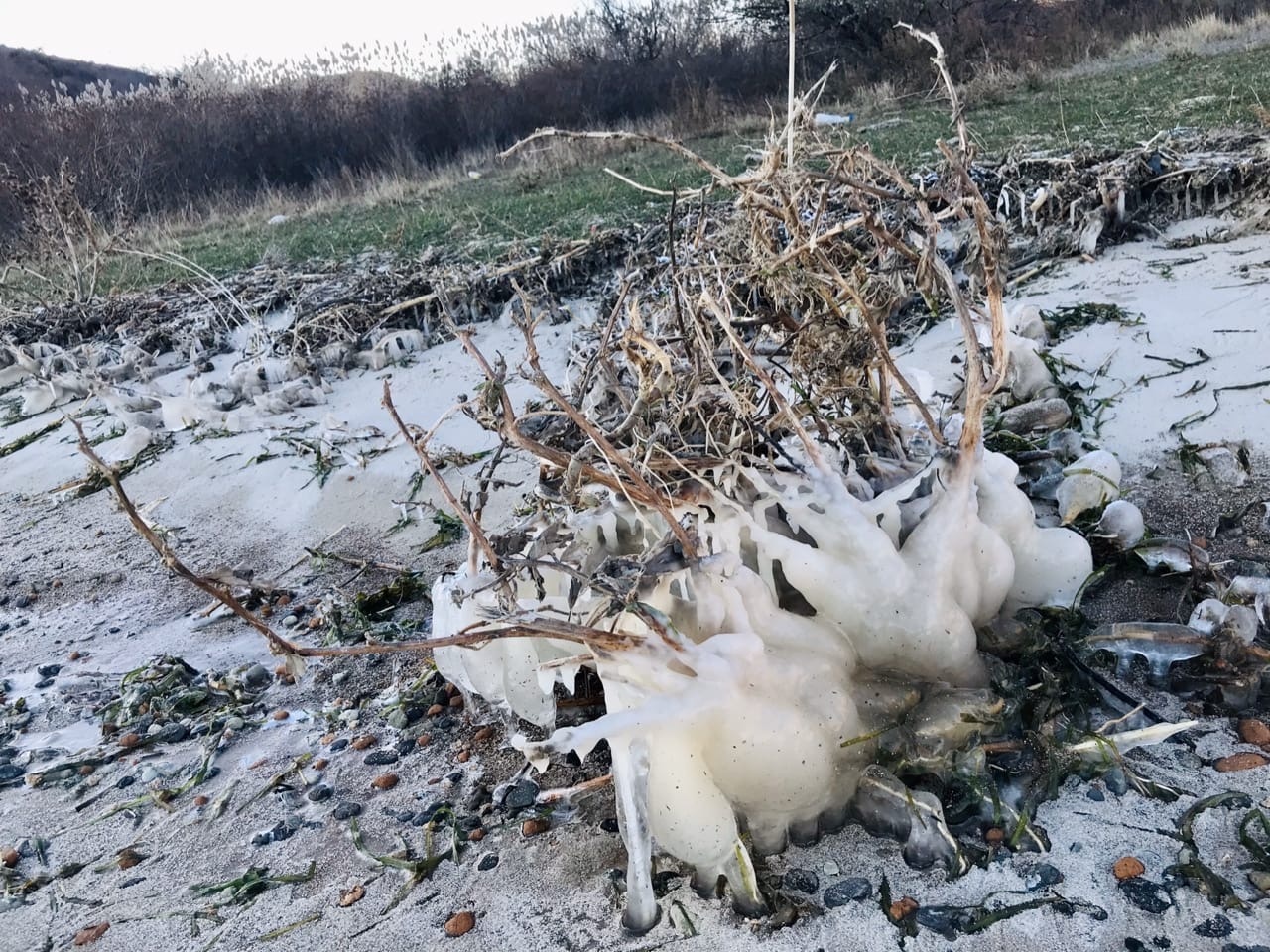 МЧС предупреждает волгоградцев о заморозках