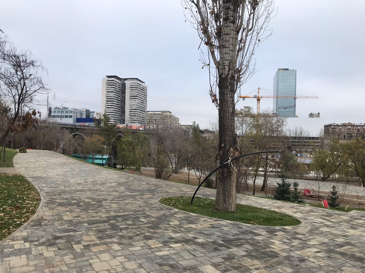 Еще у пятерых волгоградцев подтвердился коронавирус: итого 38