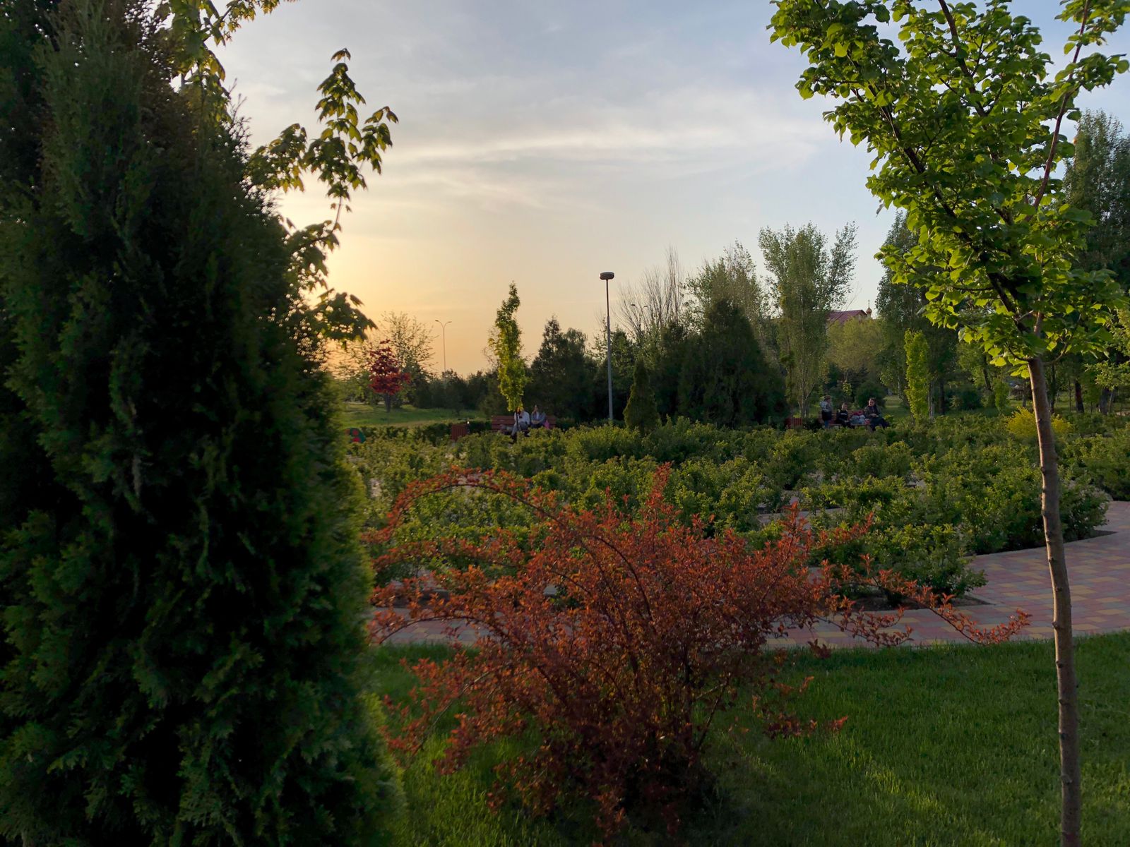 После укуса комара волгоградец заболел лихорадкой Западного Нила