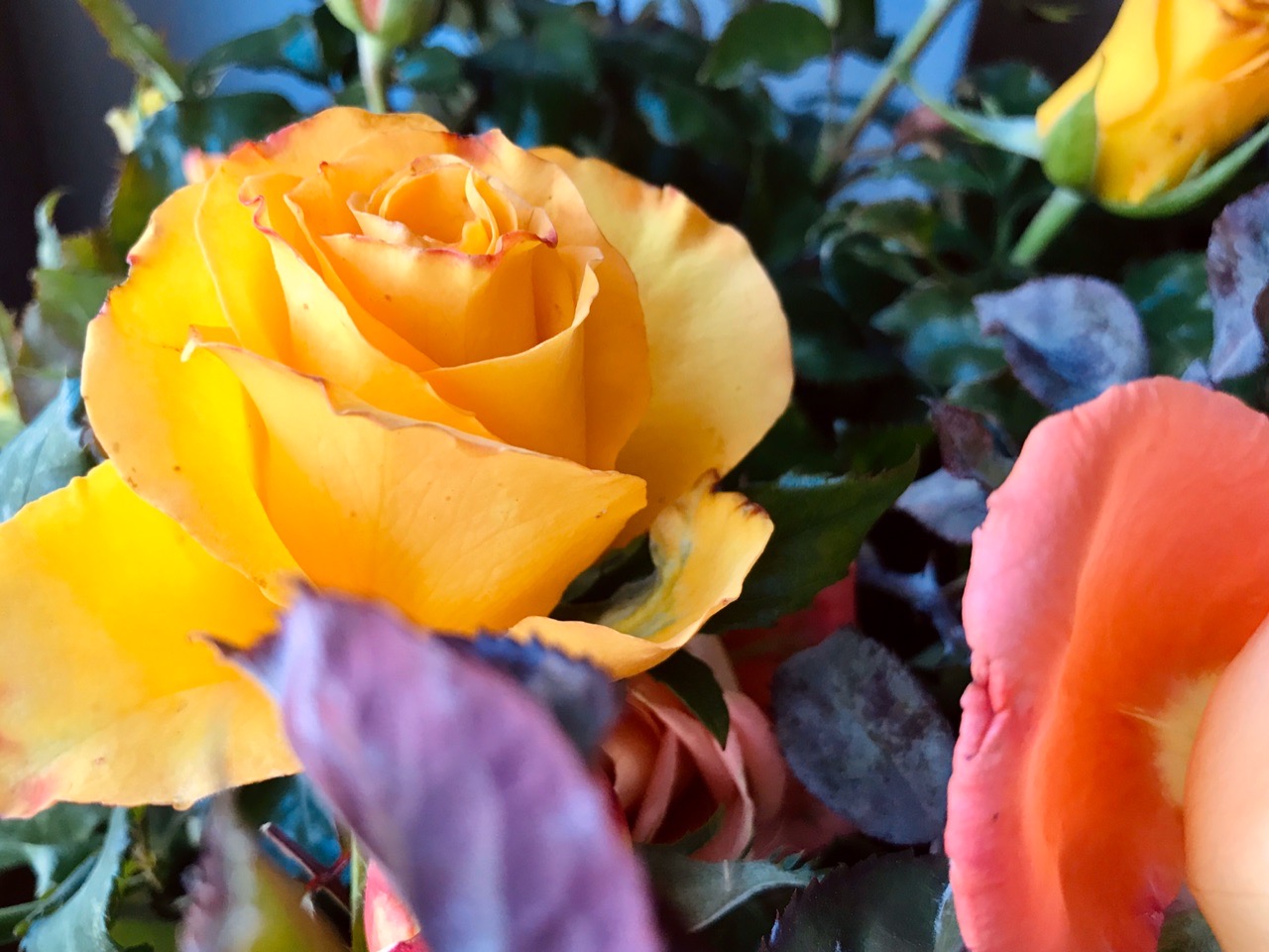 Объявлено об открытии театров Волгограда