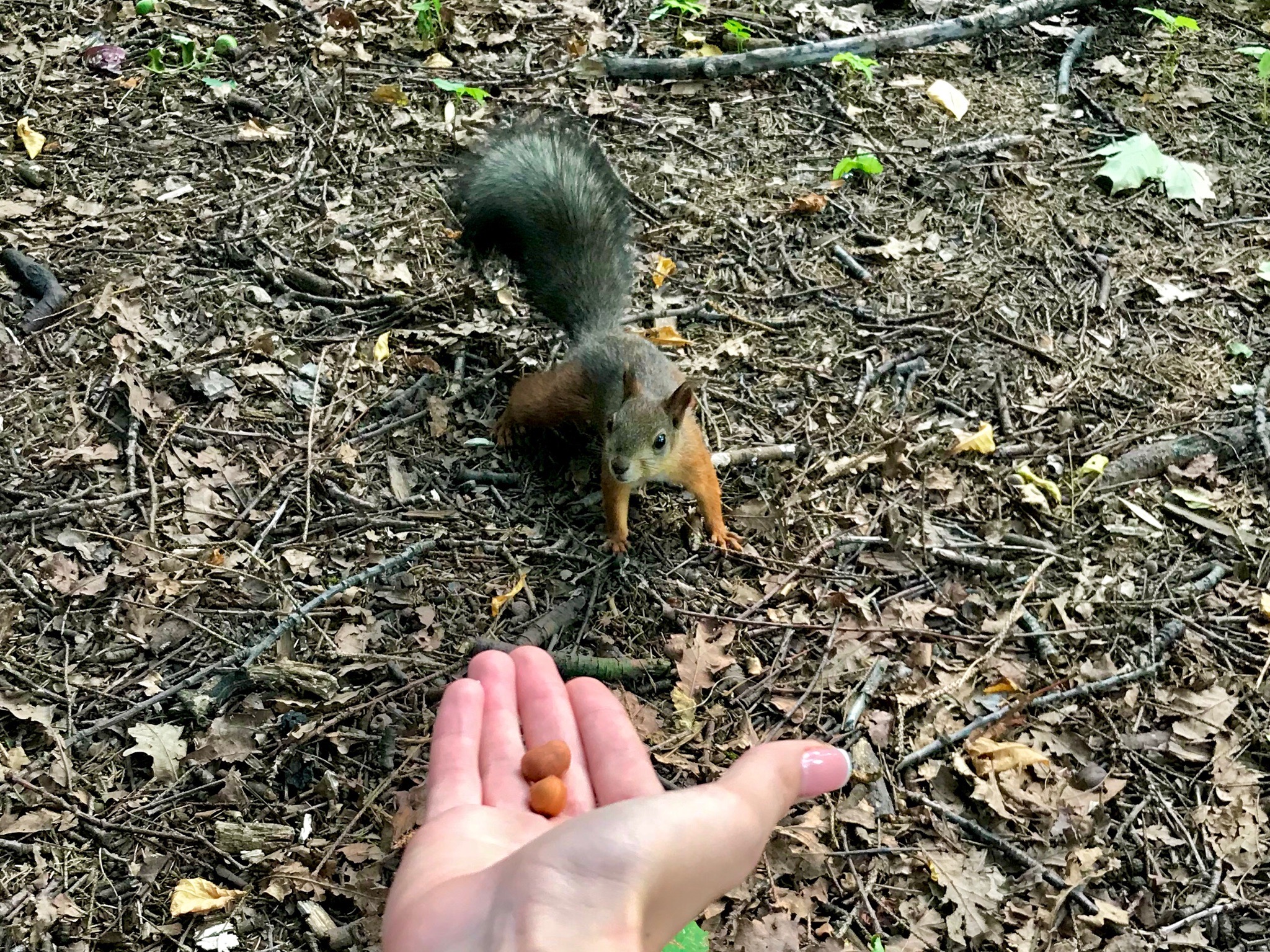 Волгоградка пять месяцев провела в рабстве у 49-летней предпринимателя
