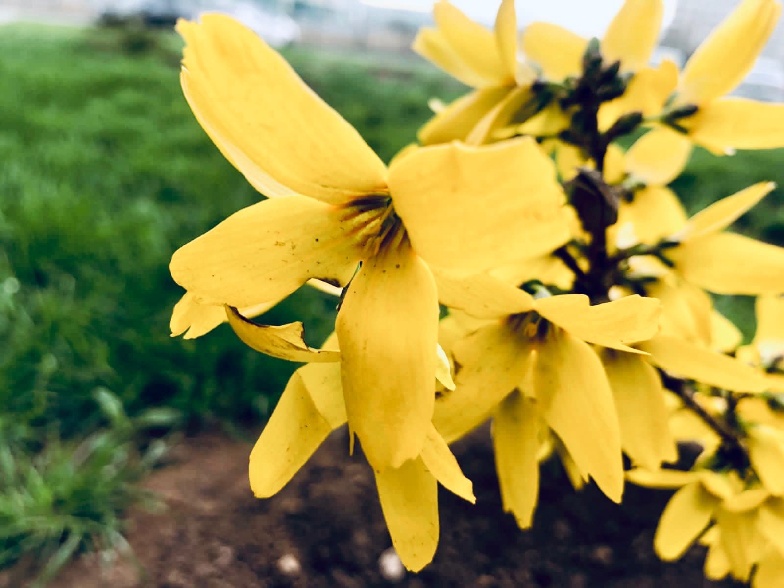 График отключения горячей воды в Волгограде на апрель-2022 