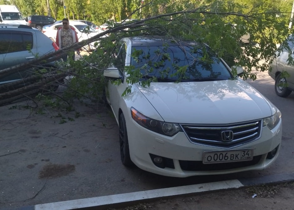 Иномарку прибило деревом в Волжском