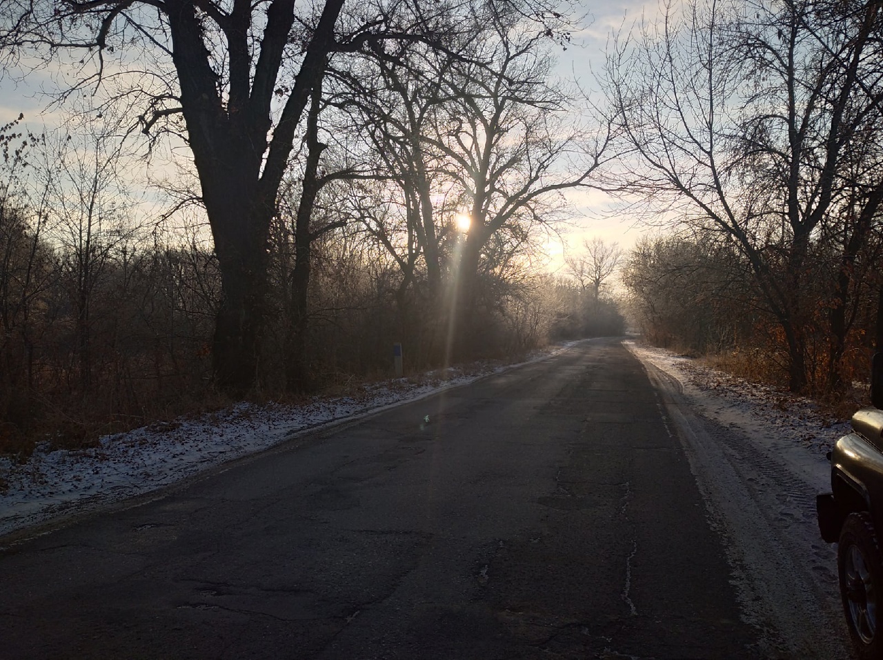 Дождь и мокрый снег придут в Волгоградскую область 23 марта 
