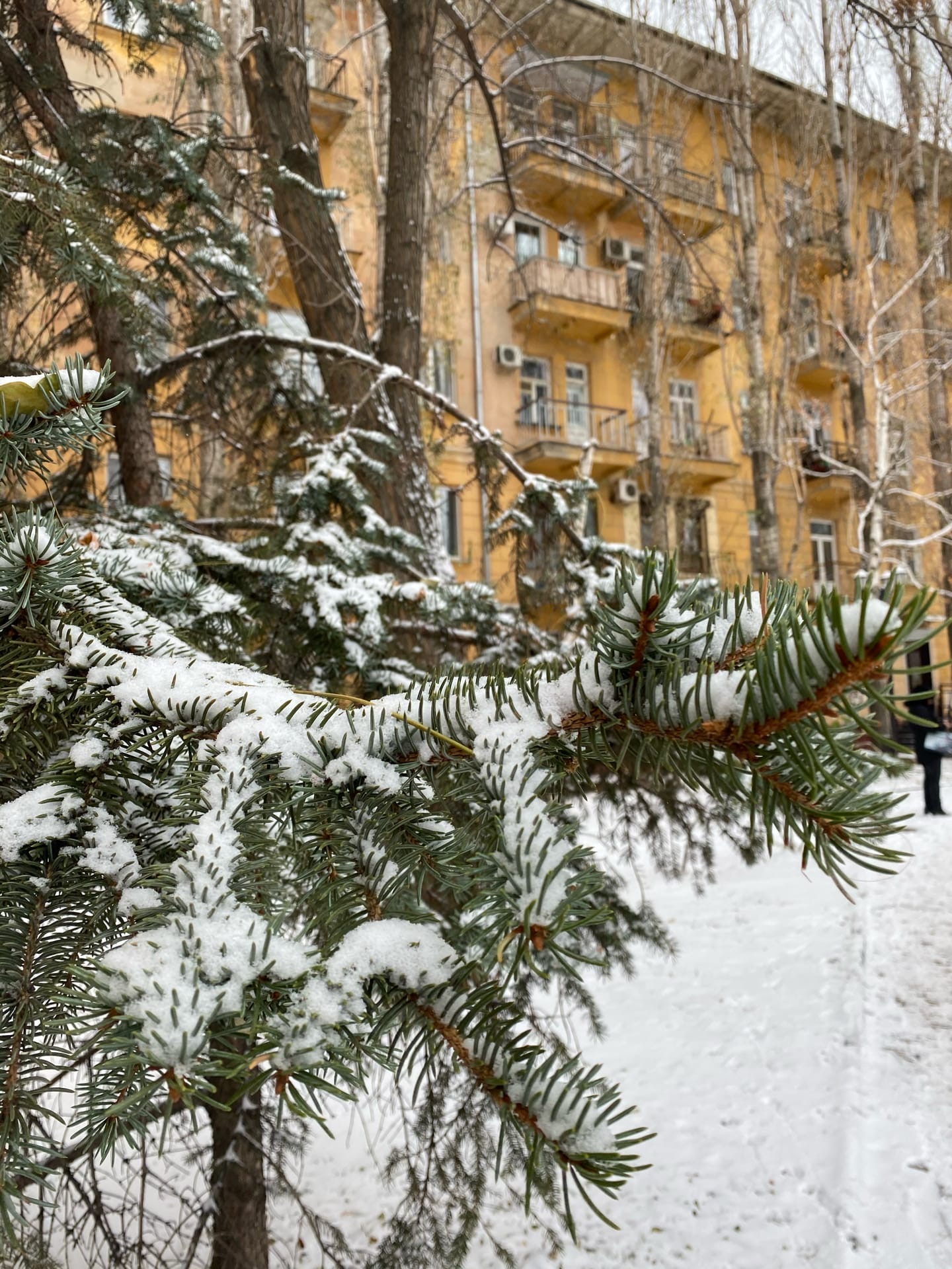 Самые ожидаемые персонажи декабря прибудут в Волгоград уже в это воскресенье